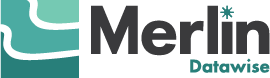 Merlin Datawise logo