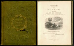 Read more about the article A Pebble in Time