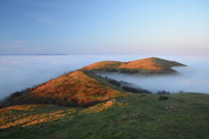 Read more about the article Season’s Greetings