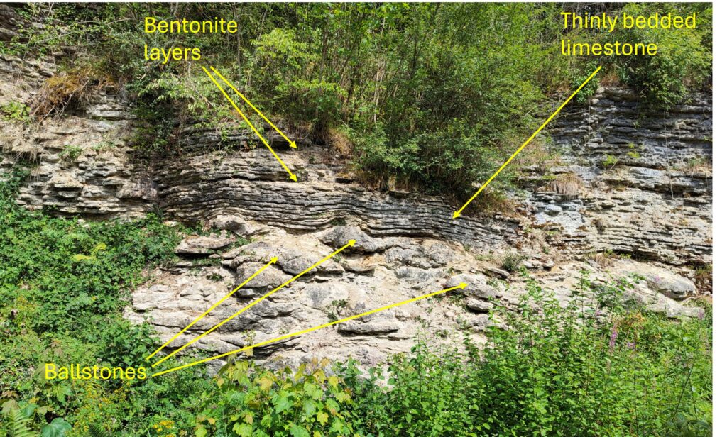 Knowle Quarry Geology